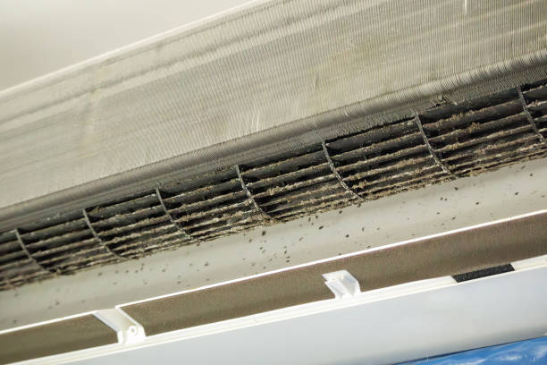 Best Affordable Air Duct Cleaning  in Cadiz, KY