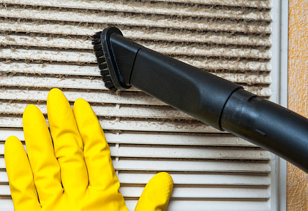 Best Home Air Vent Cleaning  in Cadiz, KY